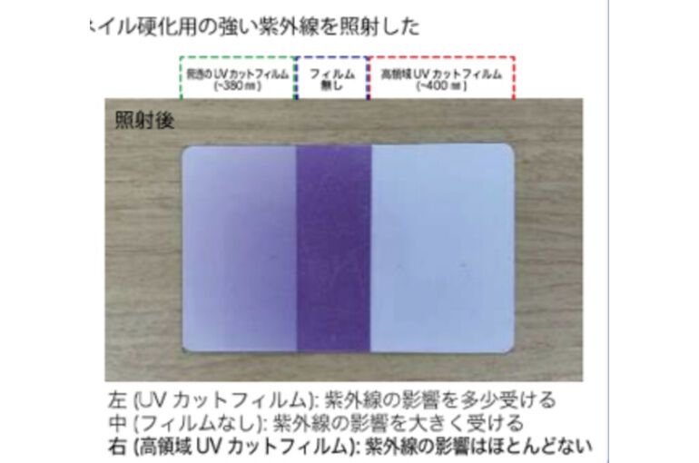 実験結果